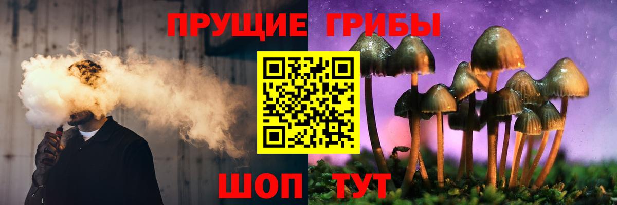 Псилоцибиновые грибы Psilocybe  Вход с VPN  Домодедово 